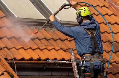 Démoussage et hydrofuge de toiture à Puyoô